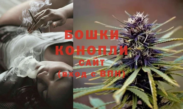 гидропоника Белоозёрский