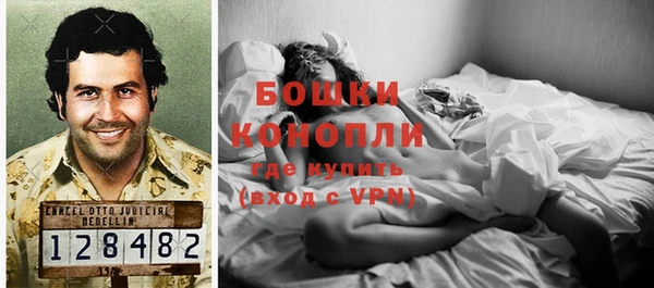 гидропоника Белоозёрский